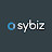 Sybiz Software