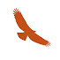 y7q9AI2B-tg-channel-avatar-HawkWatch International