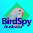 -dYXYZLxsVI-channel-avatar-Bird Spy Australia