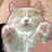 @Mati-mq6bv Avatar