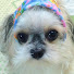 ab688BFcuNo-channel-avatar-BeerGod_Army (BeerGod)