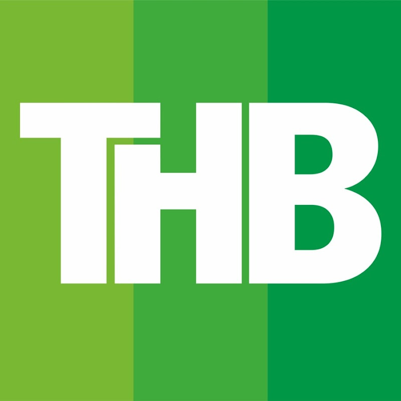 ТНВ Татарча Logo