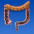 BpXNkP4weu8-channel-avatar-You and Colonoscopy