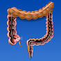 You and Colonoscopy logo