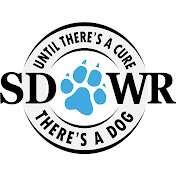 Service Dogs by SDWR