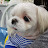 @user-un9cw7ob8i