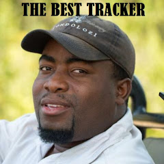 THE BEST TRACKER ON SAFARI