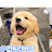 @루키-j6p