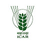 ICAR-DPR Poultry logo
