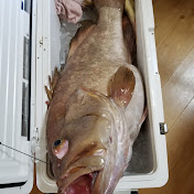 Mud Grouper fishing Channel