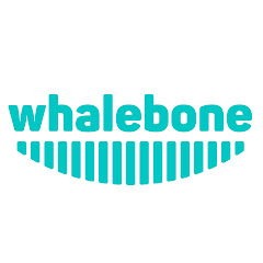 Whalebone