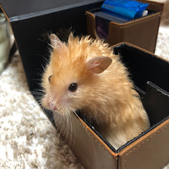 まさかり担いだまさかりさん