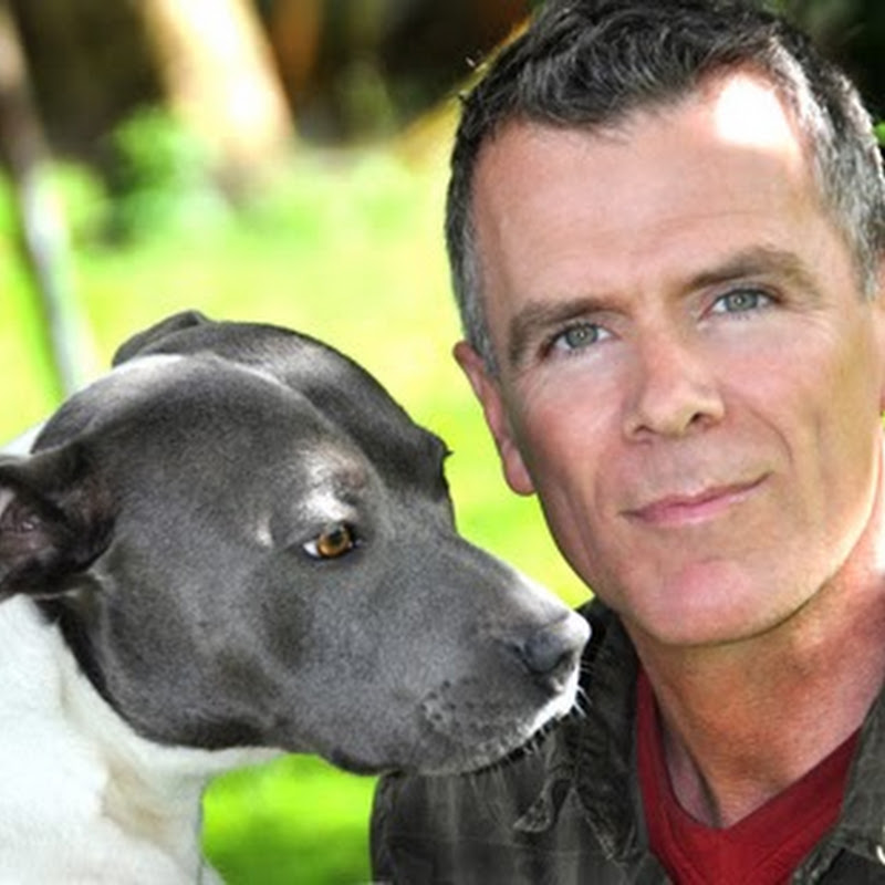 Dan Scott