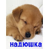 Автор