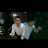 @현지인-f9o