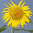RXpcTCjA-lM-channel-avatar-Craft a Smile