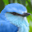 @ismaelaliagabenito7703's avatar