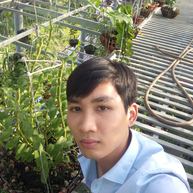 phong lan tùng nguyễn