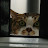@user-xy4xr2fu8g