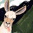@dustysparks's avatar