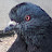 @AdrenolineLove's avatar
