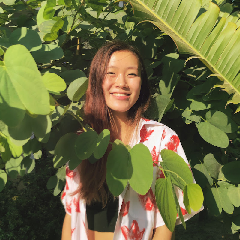 CicadaSkies icon