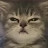 @HappyCat7701