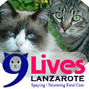 9 Lives Lanzarote