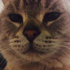 とんそら