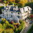 Vancouver Real Estate Films