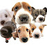 Channel Image