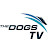 Dogs TV
