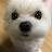 @최재철-v9g