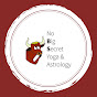 No Big Secret Yoga and Astrology logo