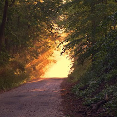 The WAY Home