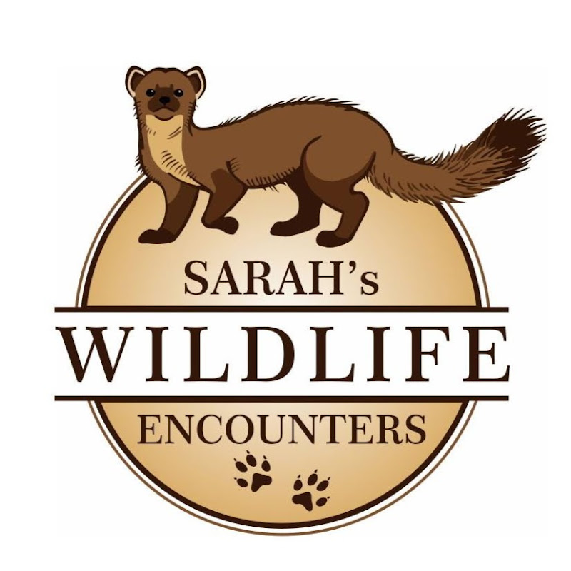 Sarah's Wildlife Encounters icon