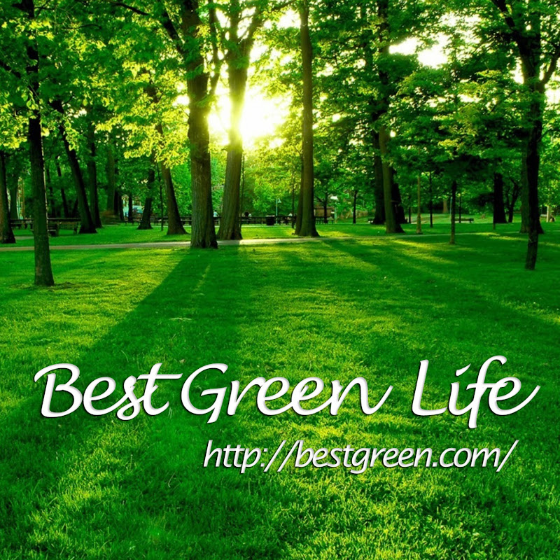 Best Green Life