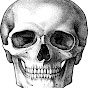 Anatomy Hero Avatar