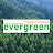 에버그린 Evergreen