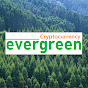 에버그린 Evergreen