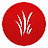 @Swwils Avatar