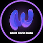 waves sound Studio