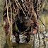 FKuGRXoEtYw-channel-avatar-Messer Baits Outdoors