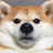 @user-iz1xx1tw8x