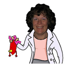 Better Body Chemistry TV net worth