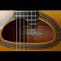 CaravanGuitars