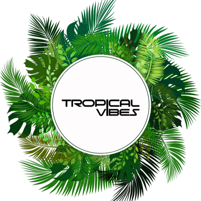 Tropical Vibes Tv
