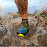 -CZmqB_120o-channel-avatar-TravelTrekRun