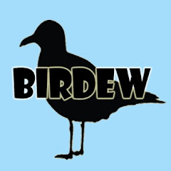 BirdewToyReviews Avatar