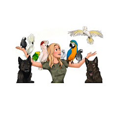 Lucky Lou Coco Too net worth